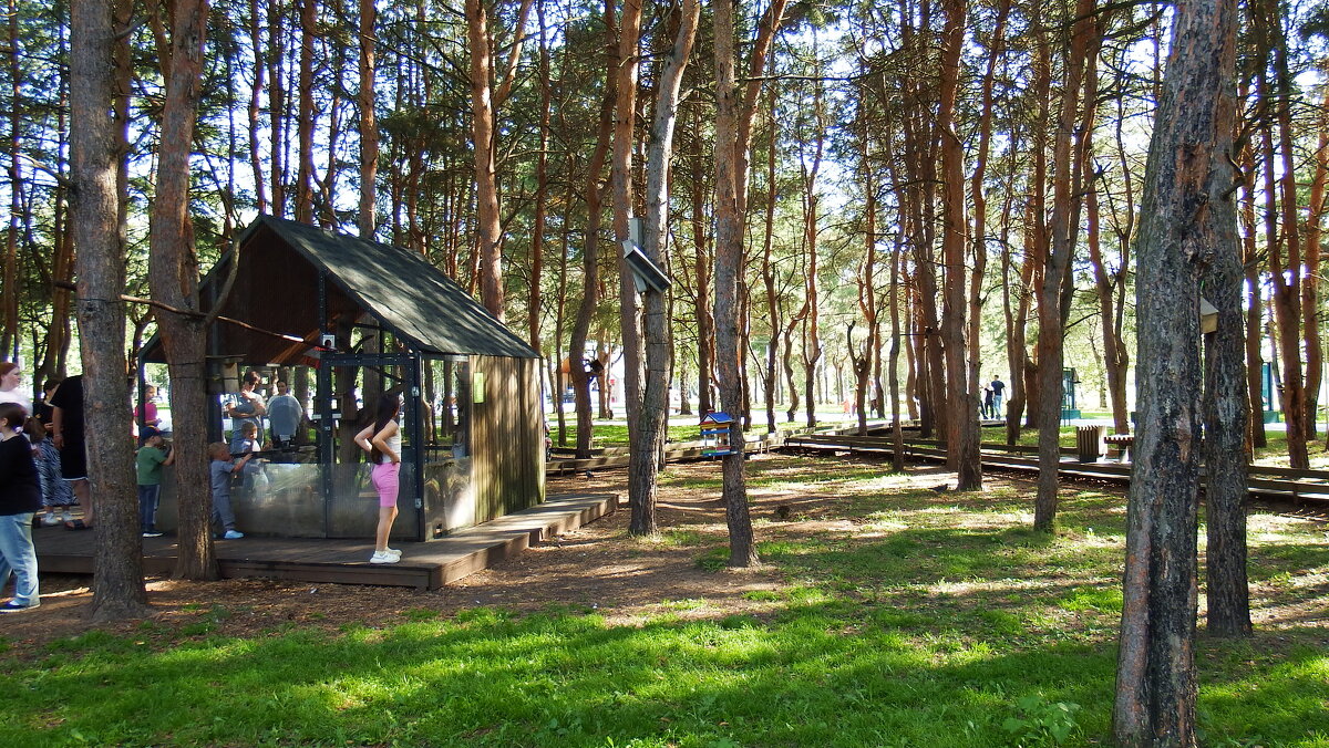 Столовая для  зверей и  птиц . - Вик Токарев