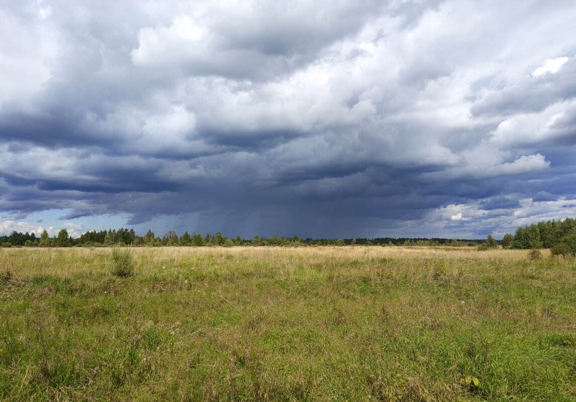 Бывший аэродром - Артем 