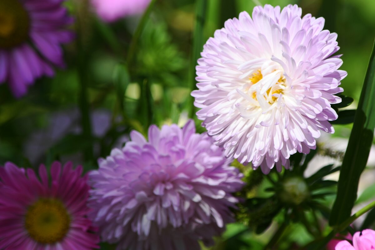 А завтра - осень - Татьяна Евдокимова А завтра - осень - Татьяна Евдокимова