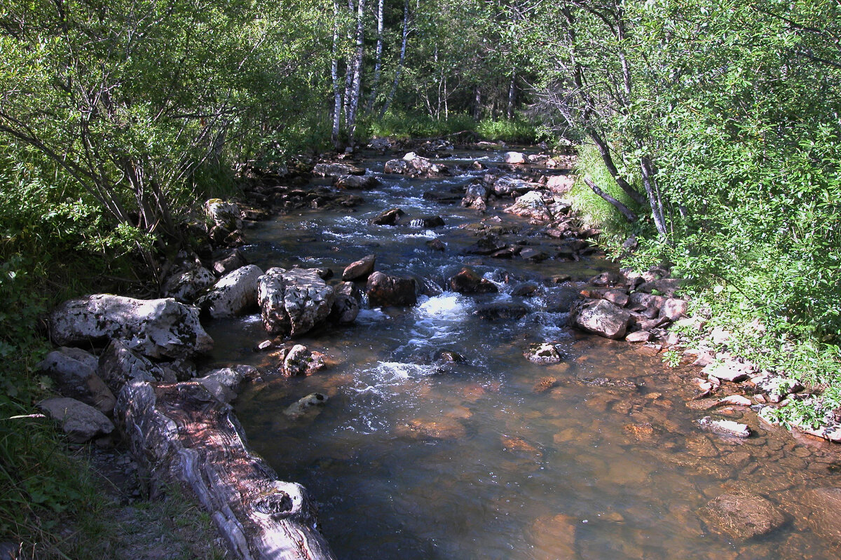 Горная речка - Наталья Лунева 