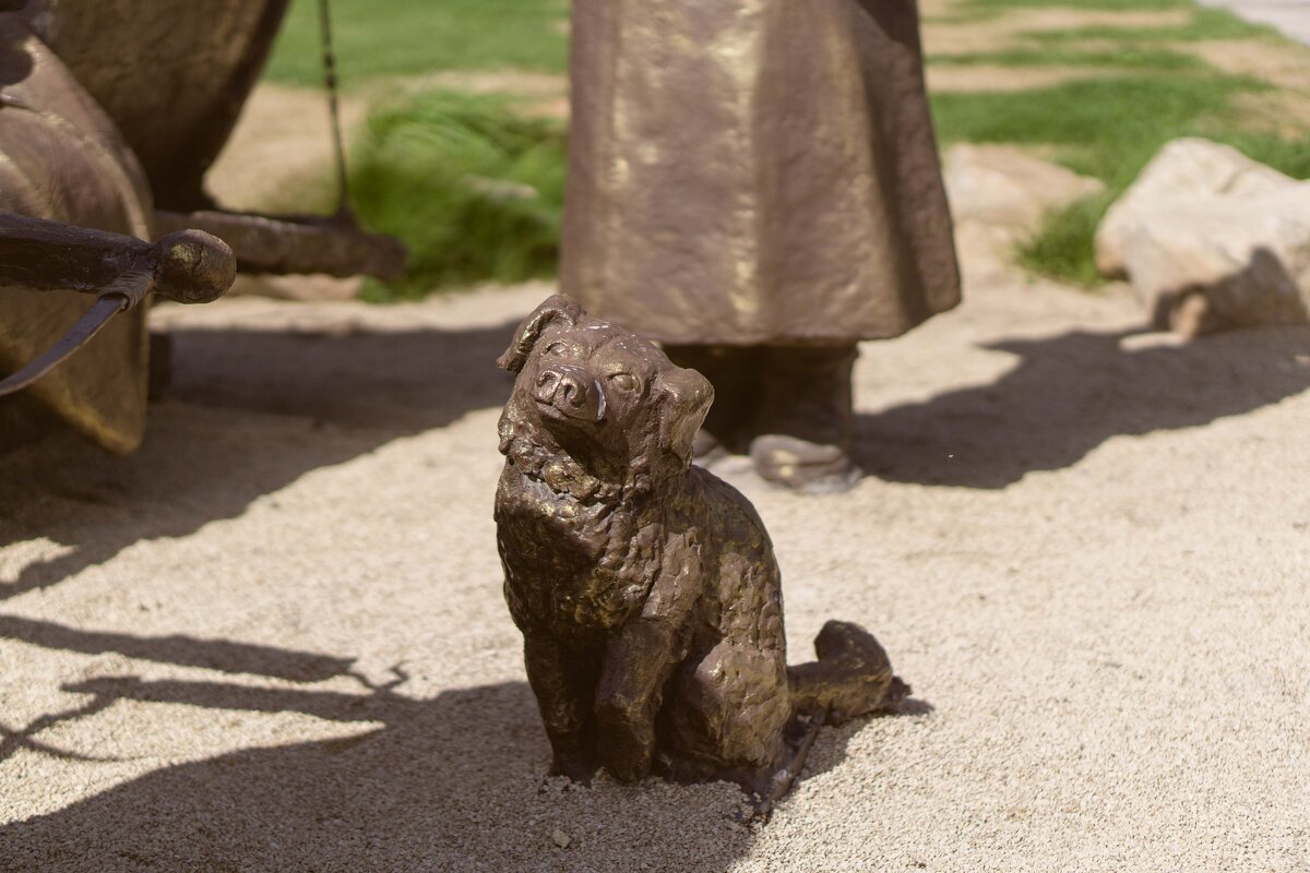 А меня сфоткайте! - Дмитрий Ряховский А меня сфоткайте! - Дмитрий Ряховский