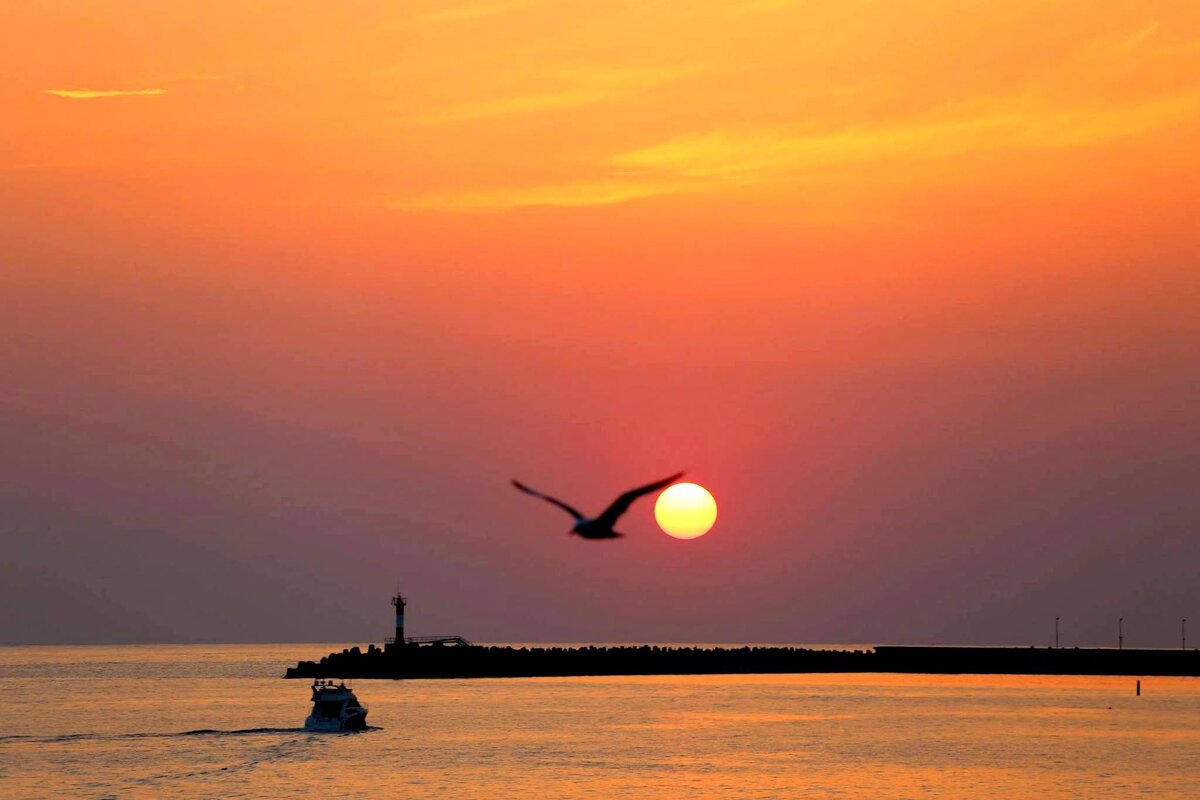 На прогулку - Валерий 