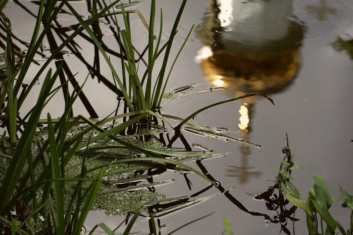 ручей - Дмитрий Потапов ручей - Дмитрий Потапов