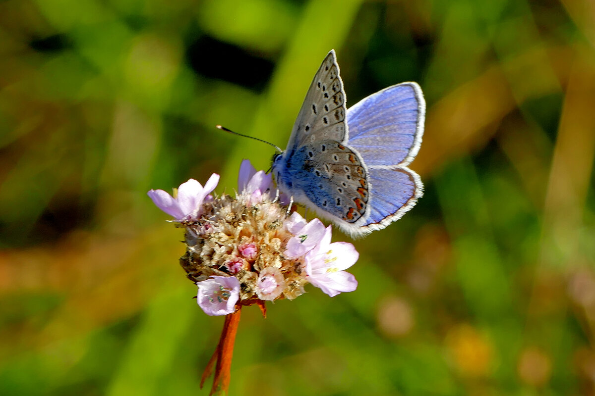 из снятого позавчера 3 - Александр Прокудин