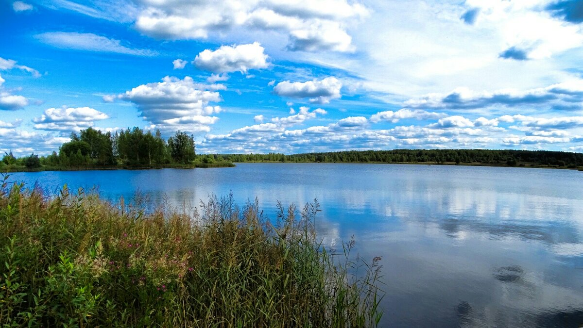 О красоте Смоленской природы. - Милешкин Владимир Алексеевич 