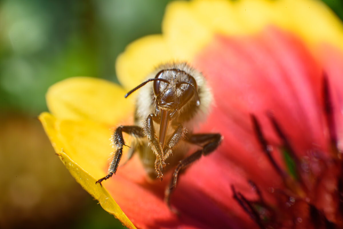 Подготовка к сбору - Михаил Соколов