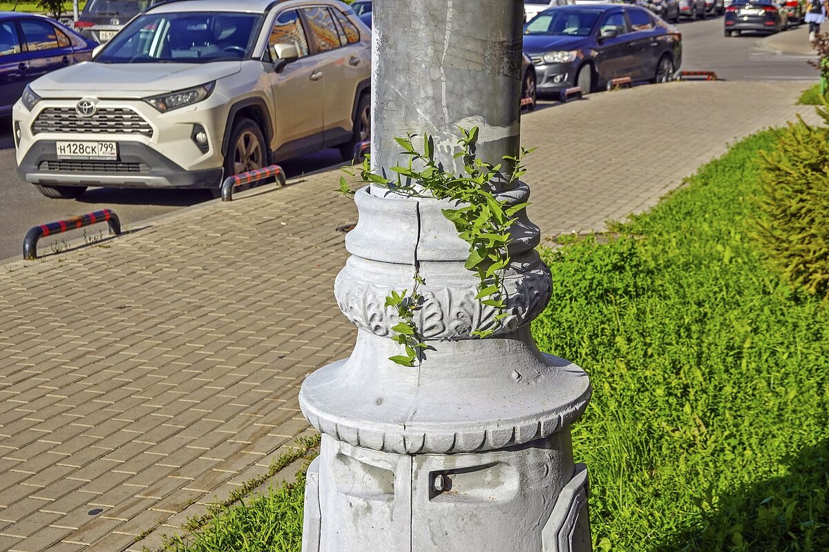 Смычка города с природой - Валерий Иванович