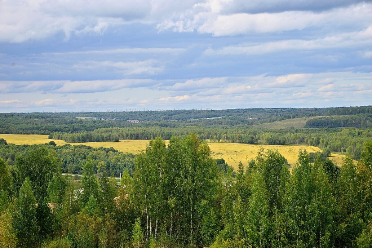 - - Владимир Мигонькин