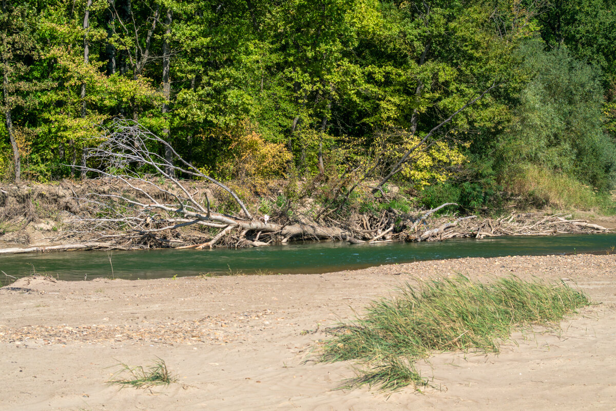Река Уруп - Игорь Сикорский