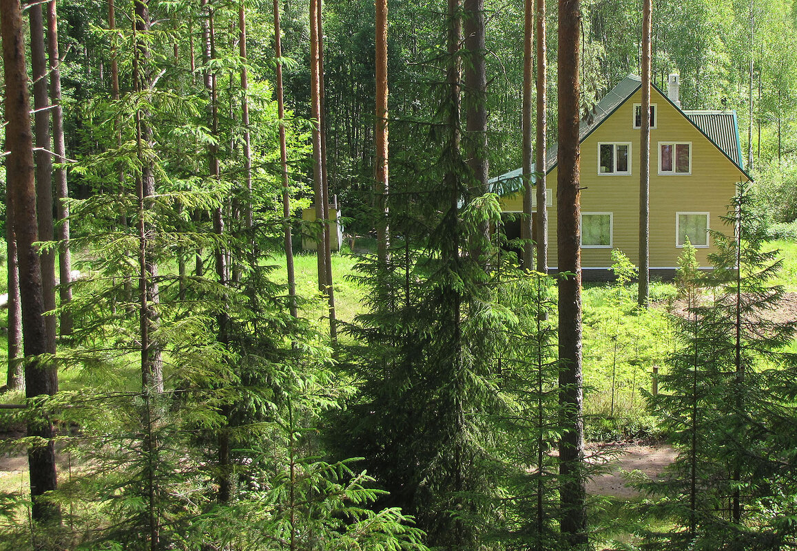 Домик в садоводстве «Сопки» - Александр Ильчевский Домик в садоводстве «Сопки» - Александр Ильчевский