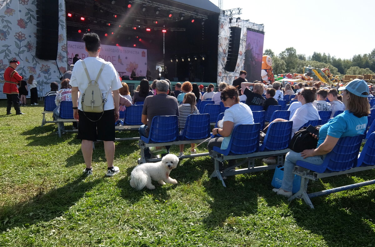 Разные интересы! Кому-то песни послушать, а кому-то по лужайке побегать! - Люба 