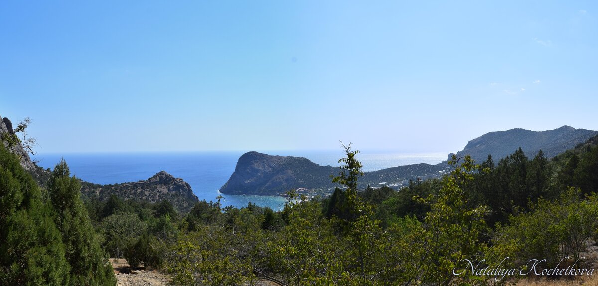 Природа Крыма - Amazing Cosmea