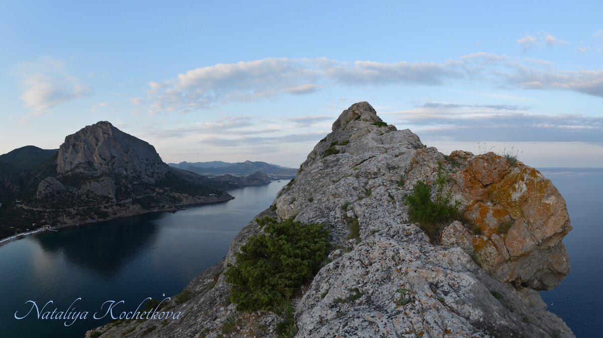 Природа Крыма - Amazing Cosmea