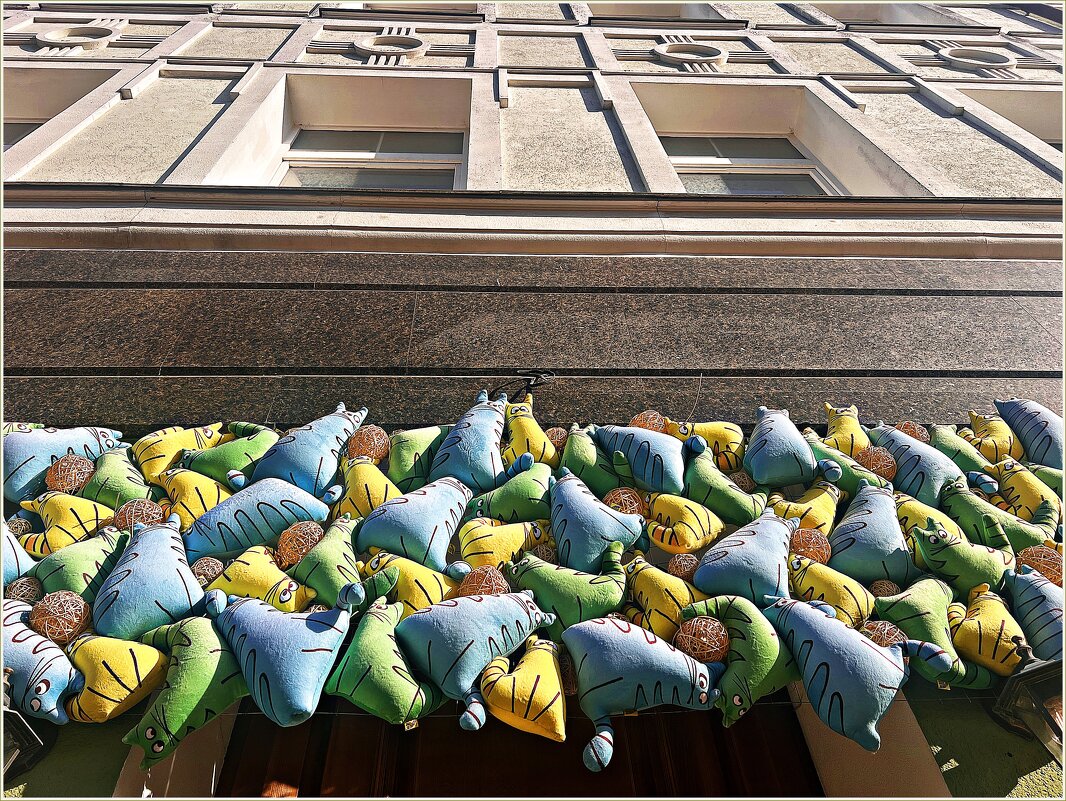 Котики - украшение города. - Валерия Комова