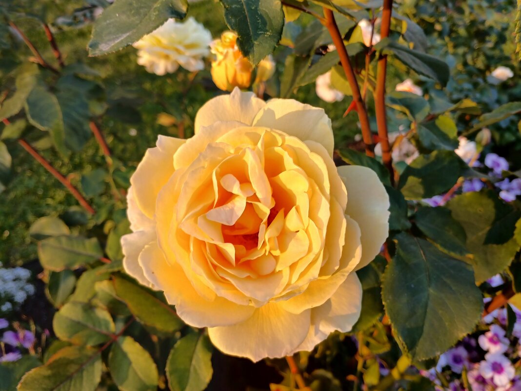 Друзья, поздравляю с Днём знаний! - Лия ☼