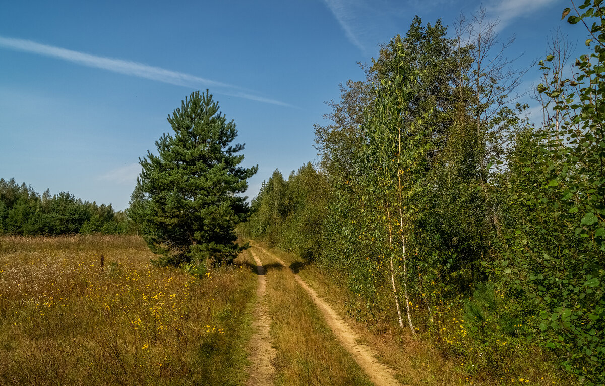 На исходе лета 3 - Андрей Дворников