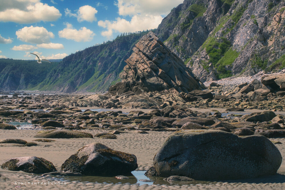 /// - Константин Есипов