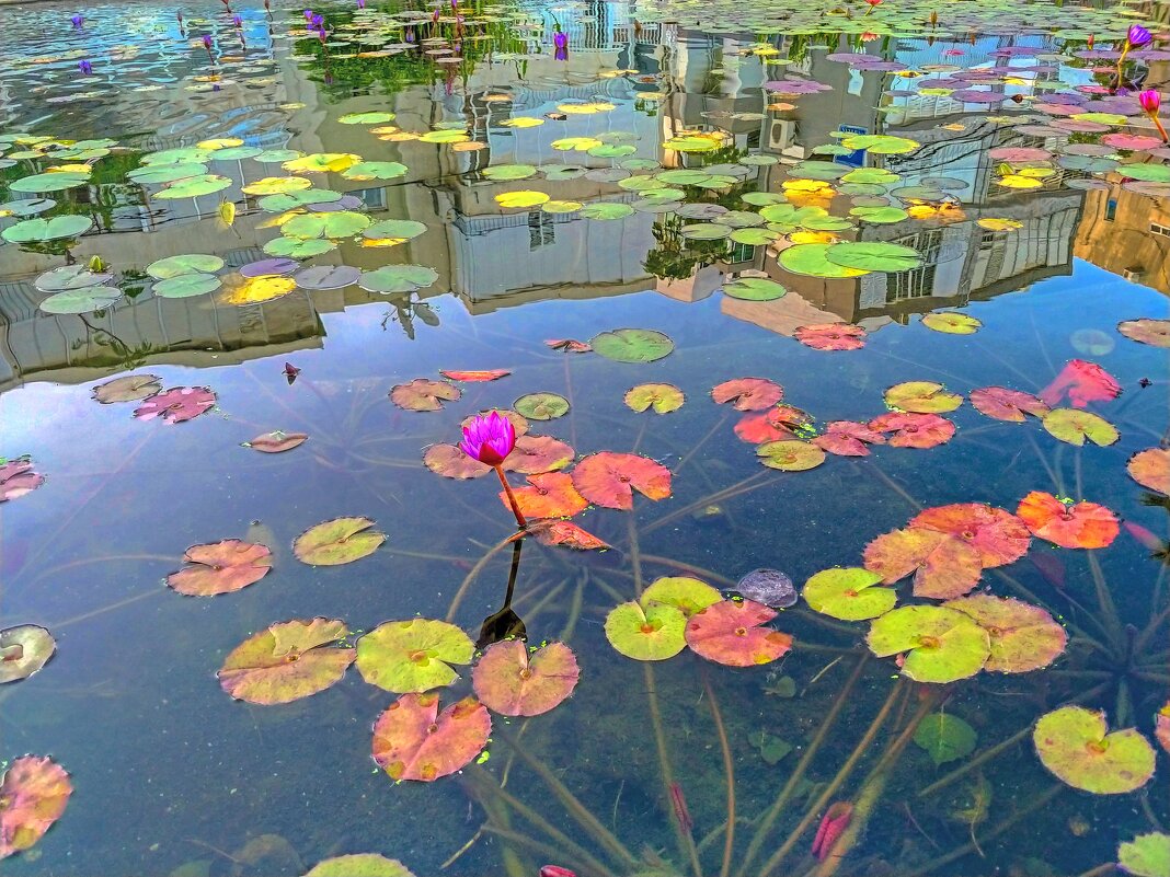 Лето кончилось - Serg _