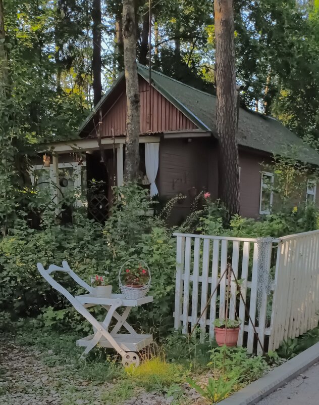 Переделкино - Галина R...