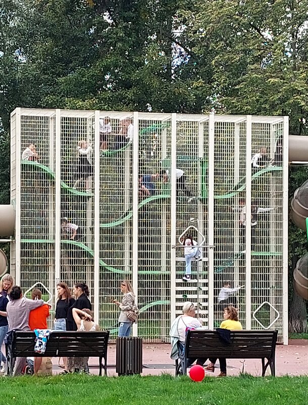 детки в клетке ) - Сергей Б.