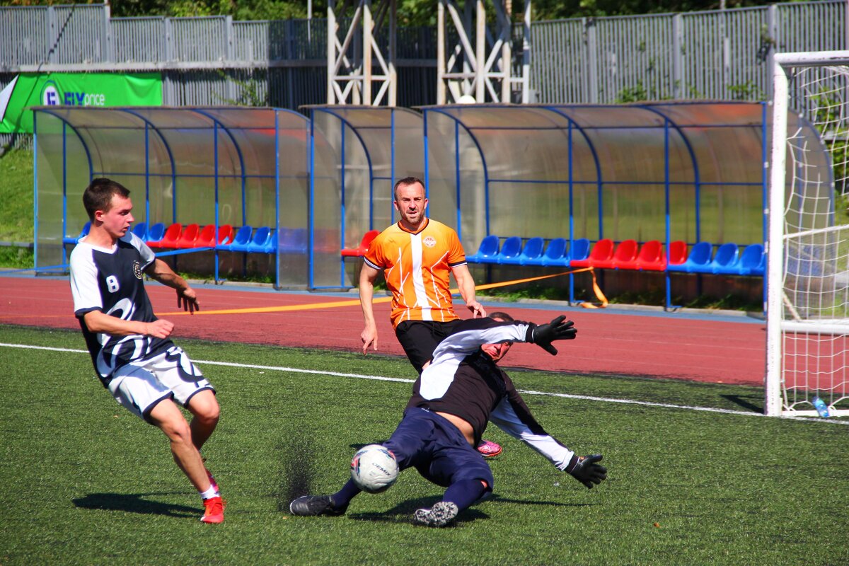 самоотверженный вратарь - Екатерина Шурыгина