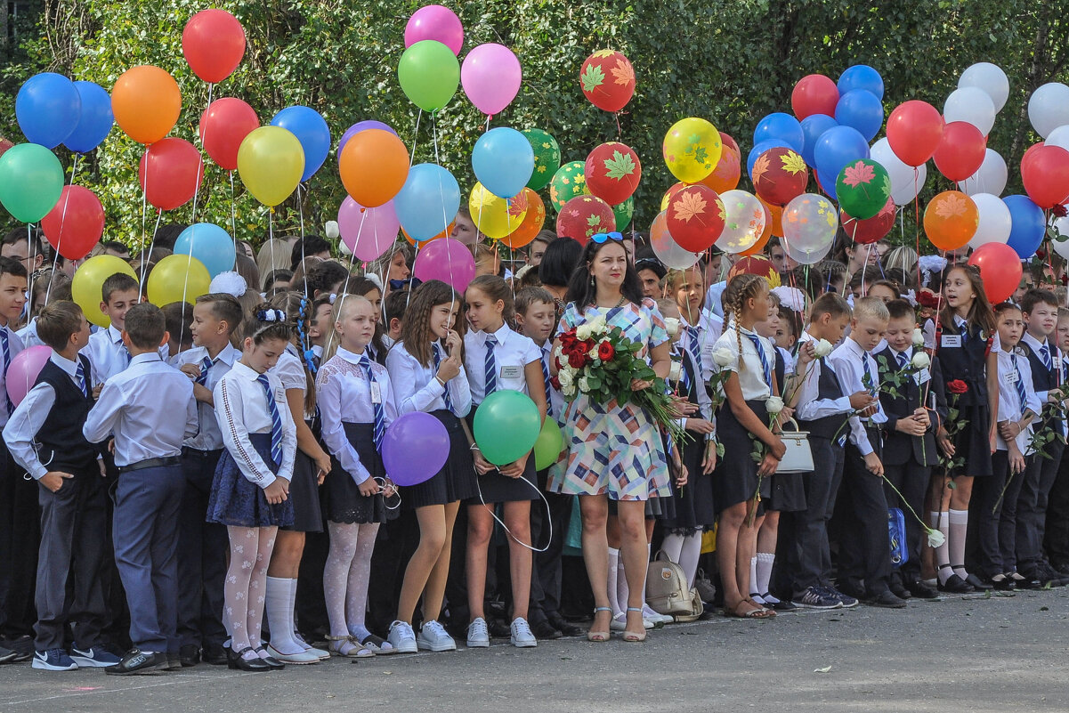 Снова в школу! УРА! - Татьяна Машошина