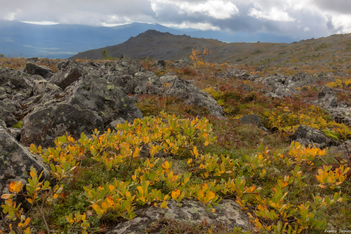 Прикосновение осени - Евгений Тарасов Прикосновение осени - Евгений Тарасов