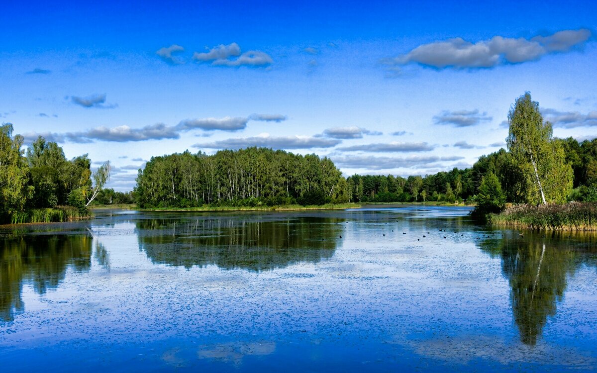 Про Смоленскую осень (репортаж из поездки по области). - Милешкин Владимир Алексеевич Про Смоленскую осень (репортаж из поездки по области). - Милешкин Владимир Алексеевич