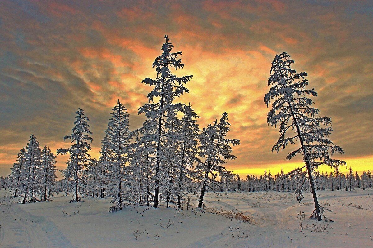 Утро Арктики - Александр Велигура Утро Арктики - Александр Велигура
