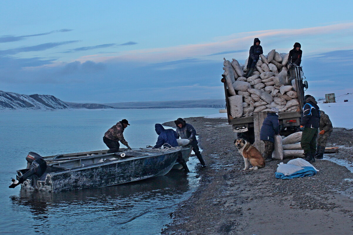 На отправке рыбы - Александр Велигура