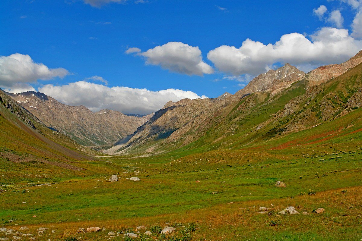 ПРИТОК ОЙГАИНГА. h- 2600м. - Виктор Осипчук