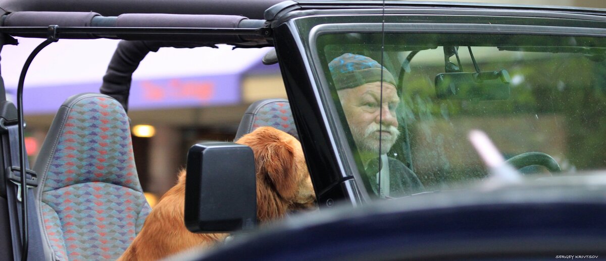 За приключениями... - Sergey Krivtsov