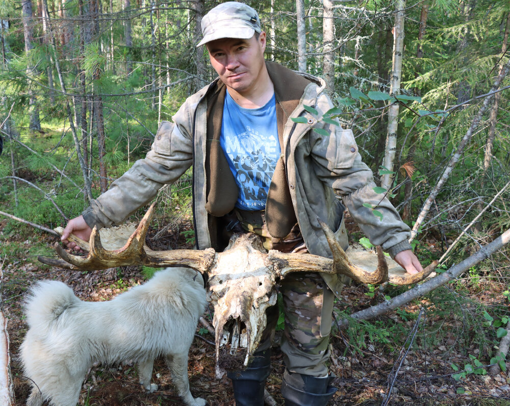 Всё, что осталось от лося задранного медведем - Галина Ильясова
