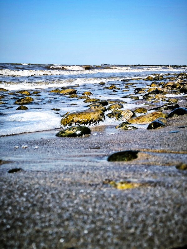 начало осени... - Oksana Verkhoglyad