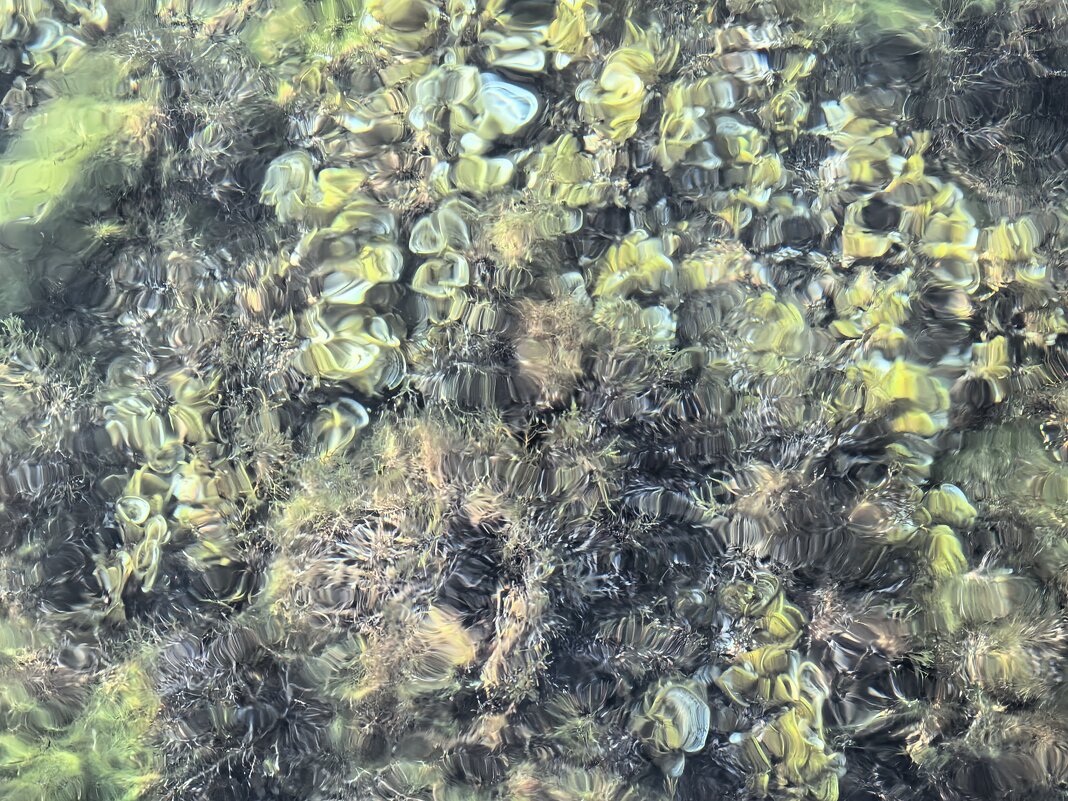 Подводный сад - Татьяна Михайлова