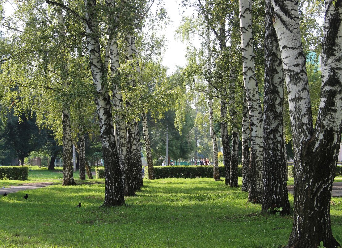 Мой город. - Венера Чуйкова