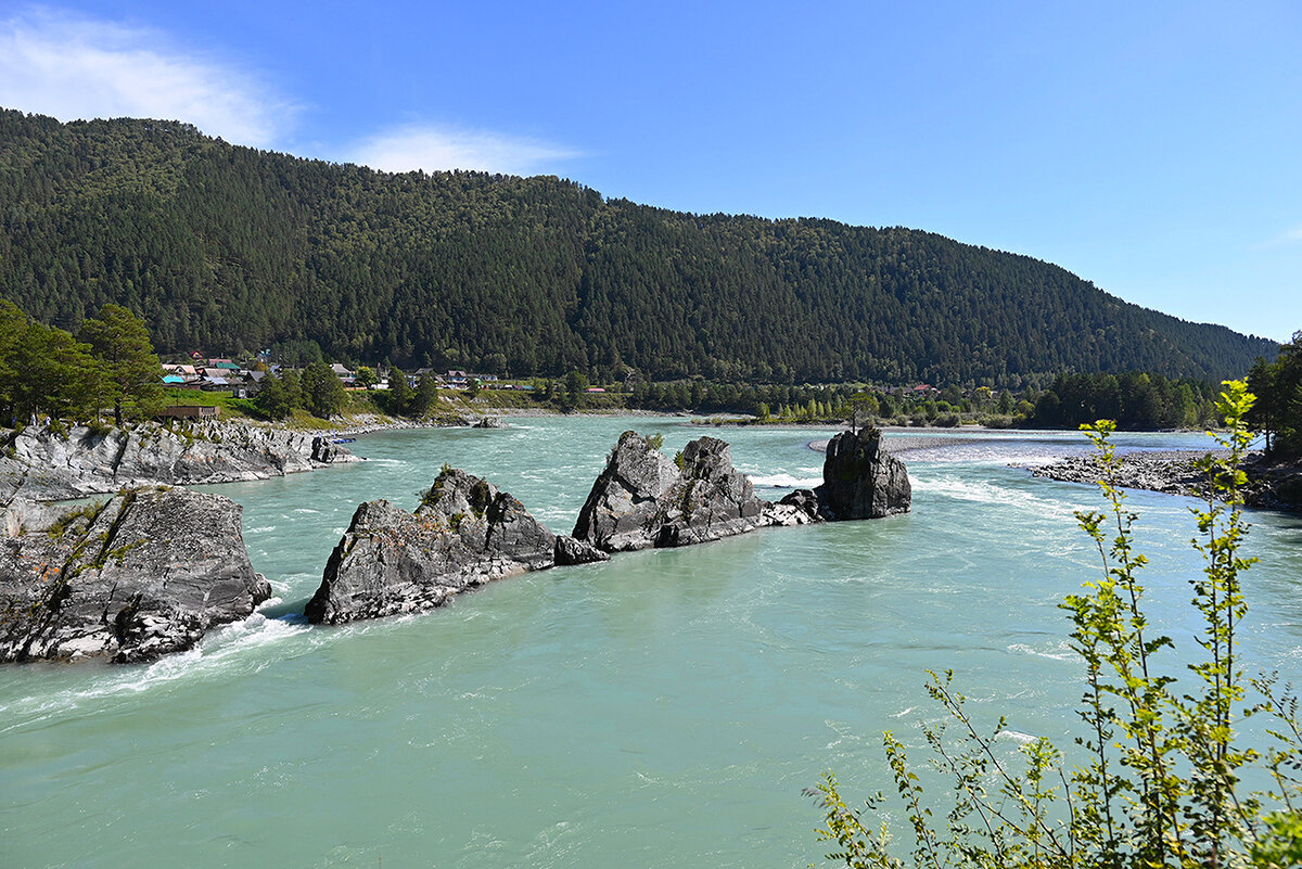 Зубы дракона - Валерий Медведев