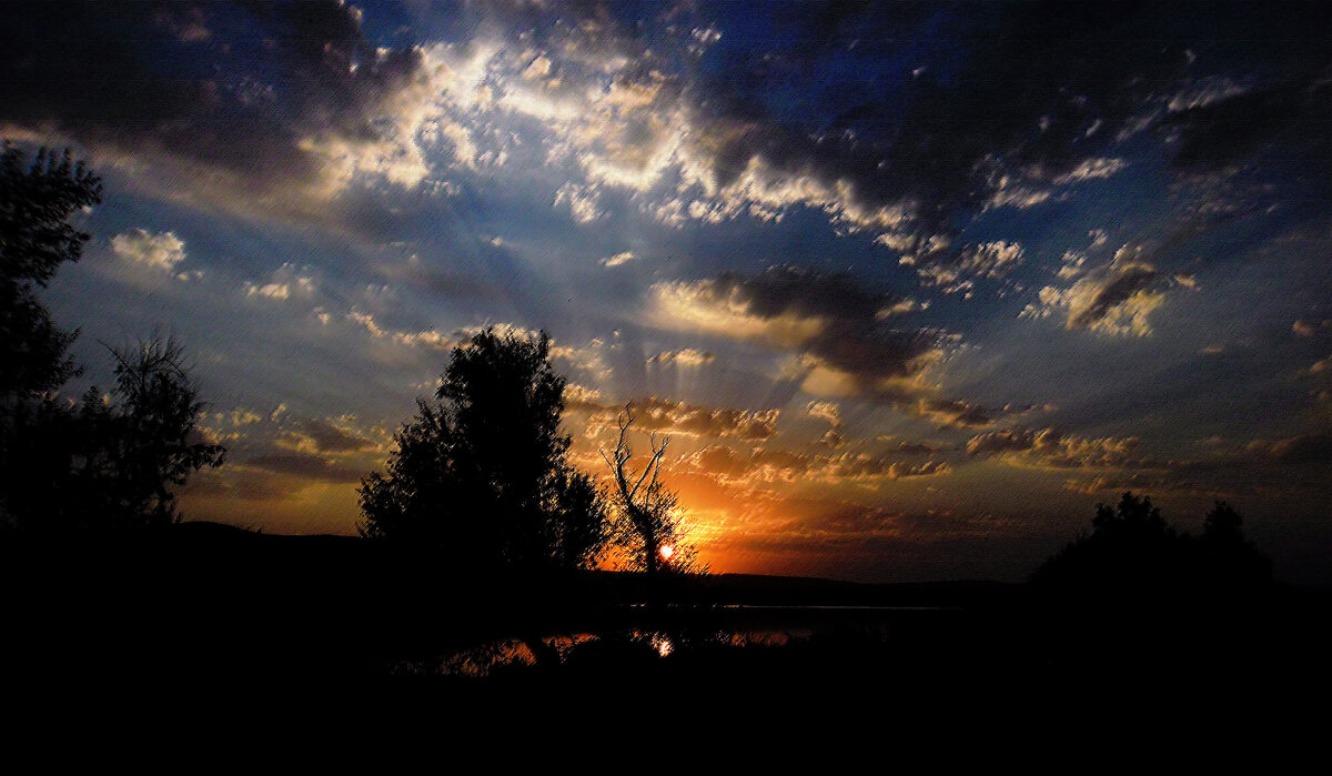 Первые лучи солнца... - Надежда Куркина 