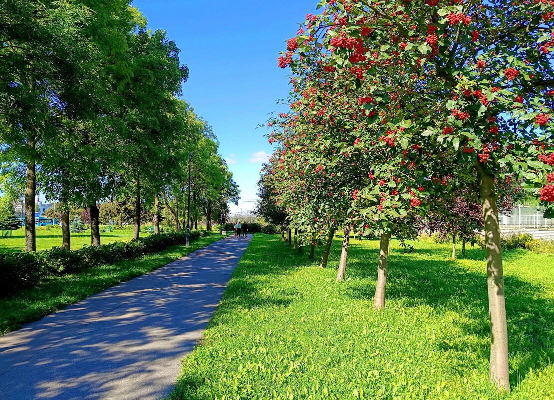 По аллее сентября... - Мария Васильева
