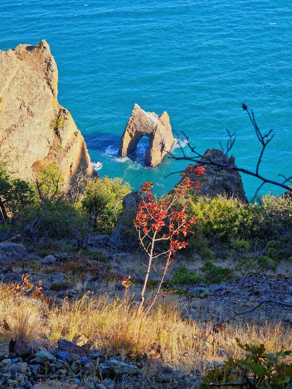 Крым - Мария Яковлева
