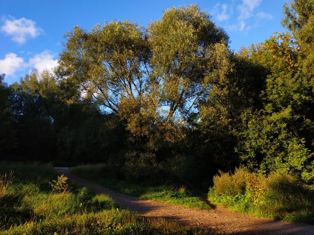 Сентябрь уж наступил - Андрей Лукьянов