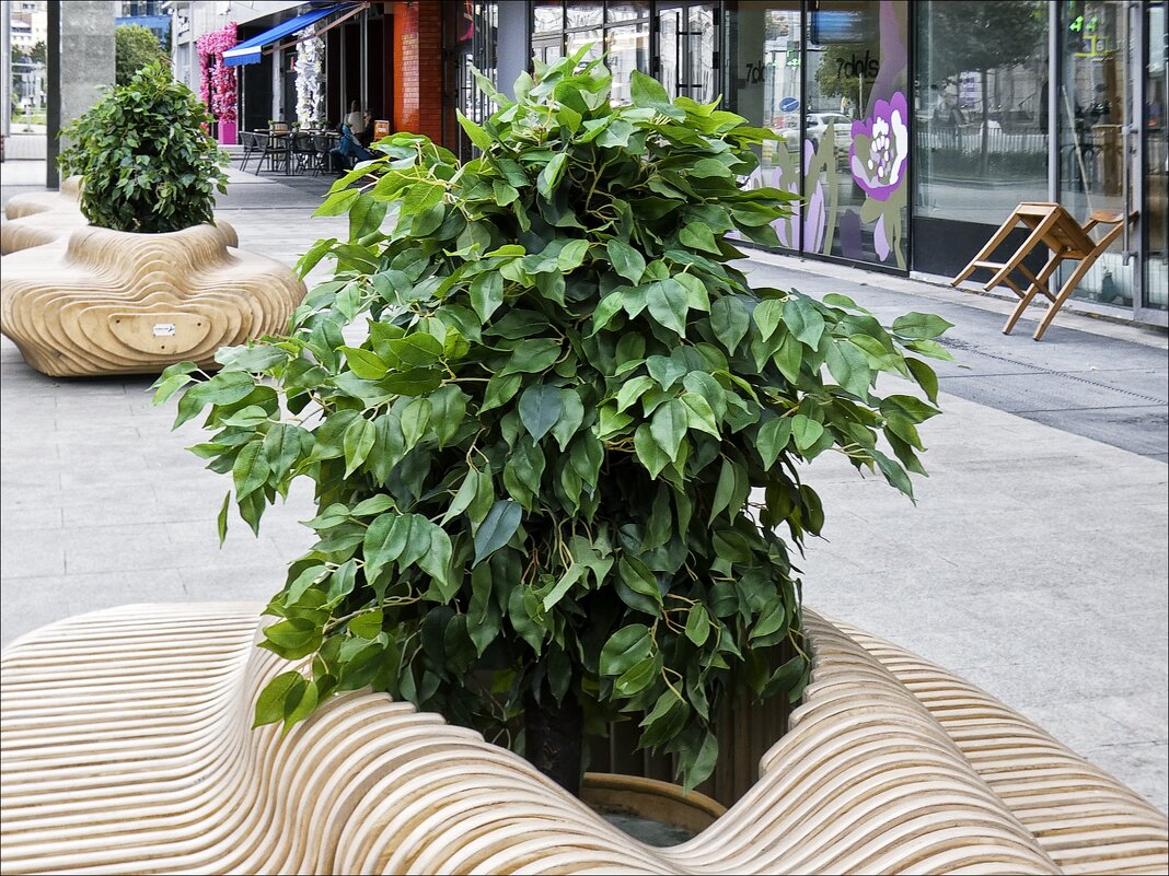 Уличный интерьер - Валентина *