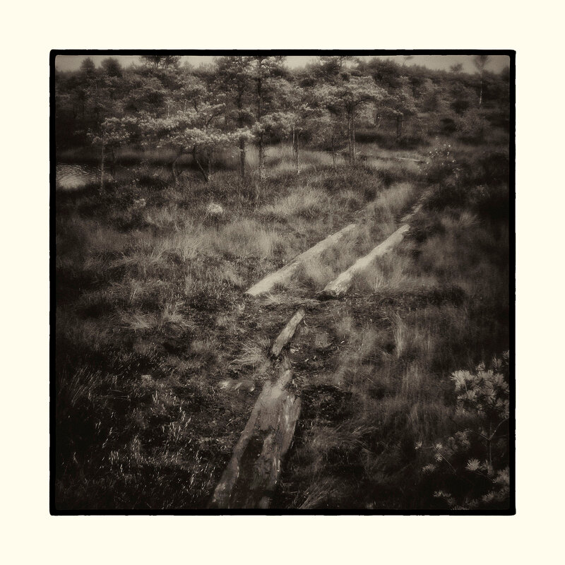 Латвия. Национальный парк Кемери. - Svyatoslav [Artisan] Ph.