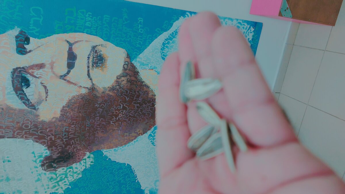 13  ОПЕН (287) - OPEN WAYS ALL