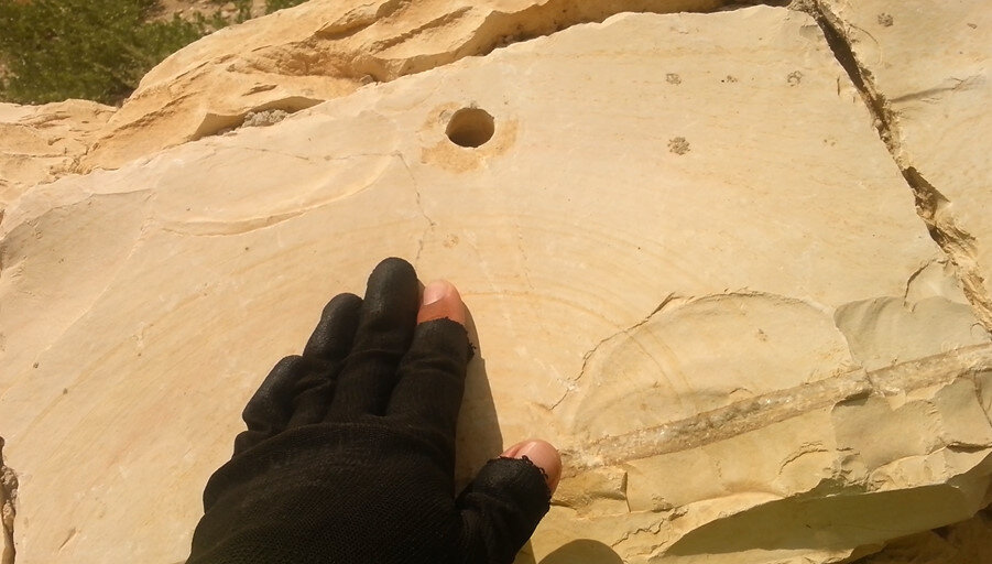 113 (49) - CLOSE WAYS ALL