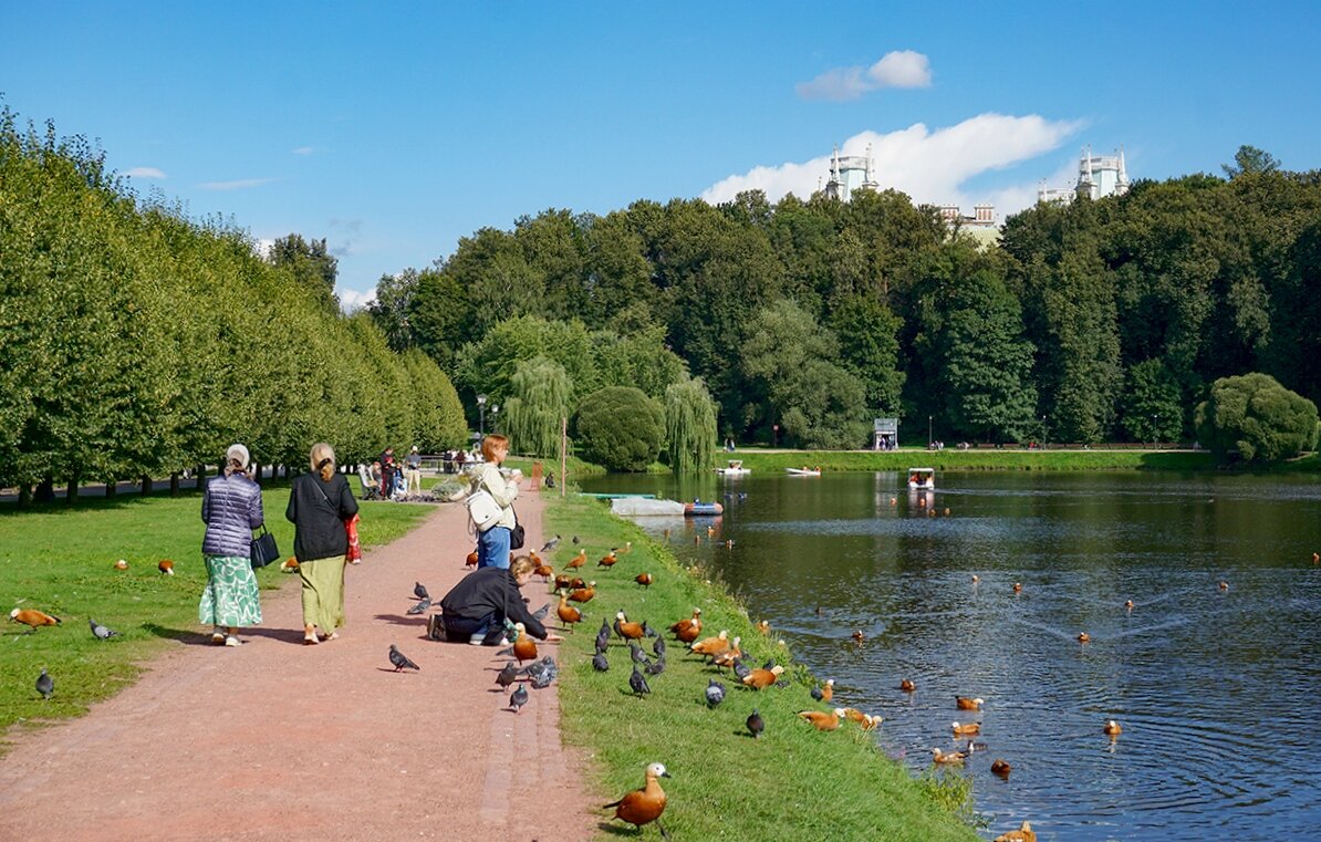 Лето в Царицыно - Ольга Лето в Царицыно - Ольга