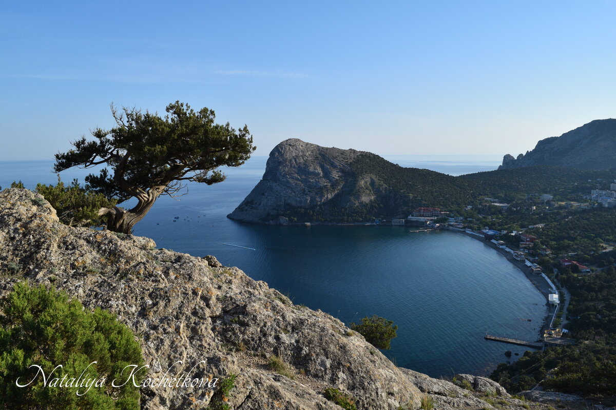 Природа Крыма - Amazing Cosmea