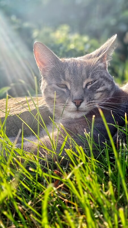 Солнечный душ - Оксана Н.