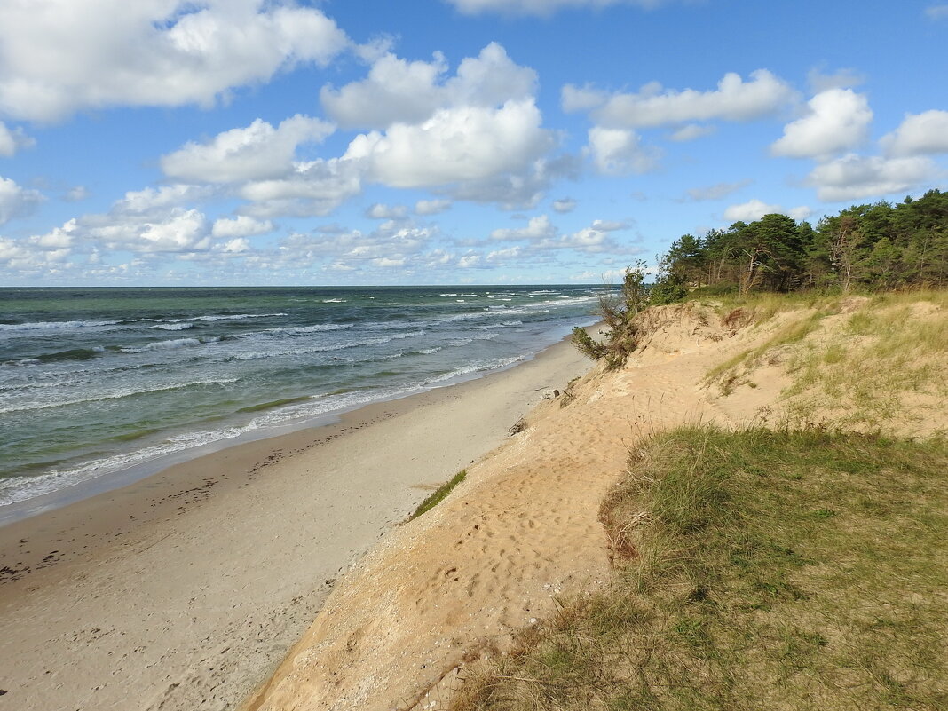 ***** - ИННА ПОРОХОВА