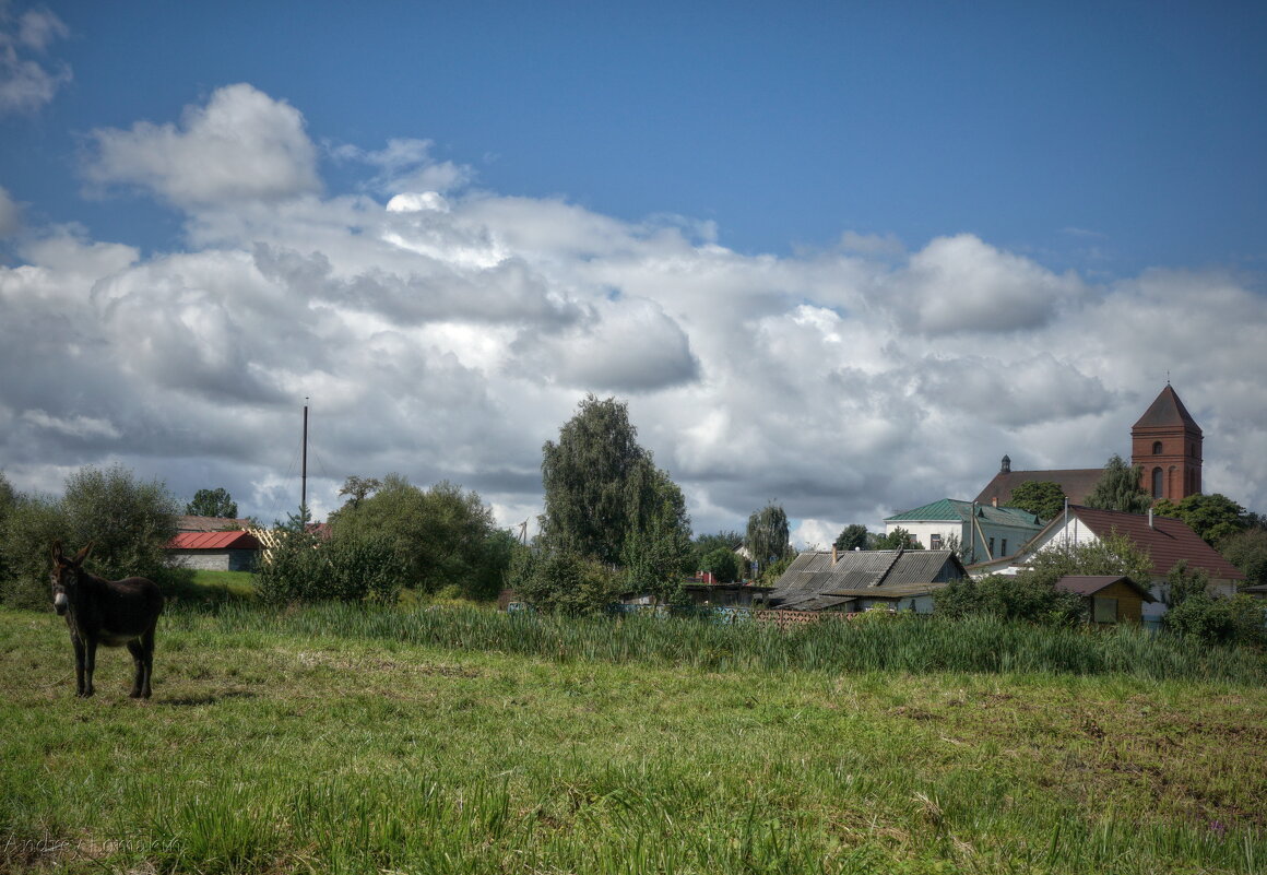 Мир - Andrey Lomakin